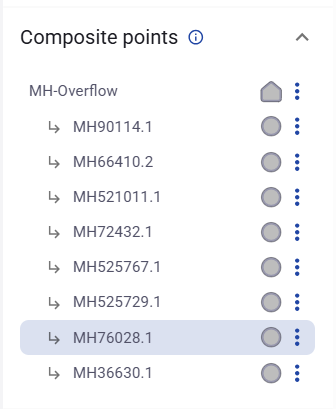 Figure 36. Composite point context menu.